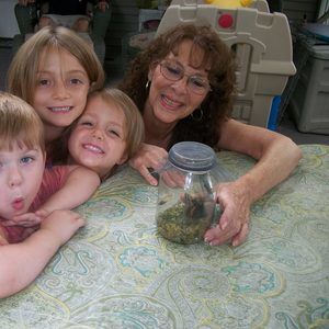 Meet your Posher, Joyce